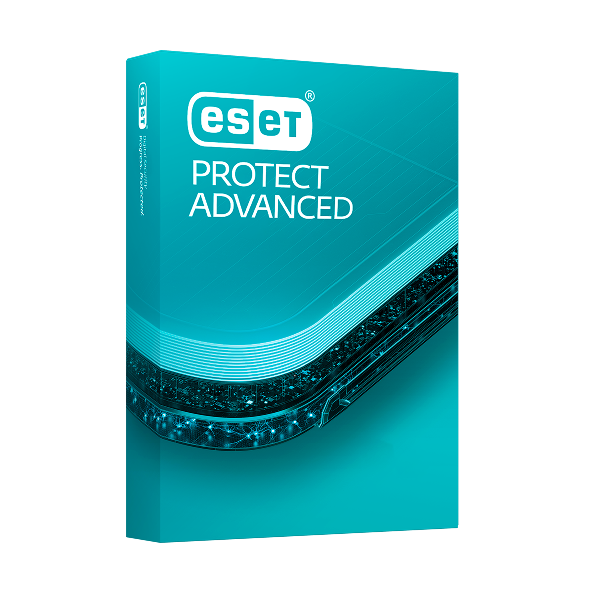 Eset Protect Advanced